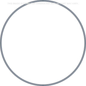 O-Ring Case 87629042