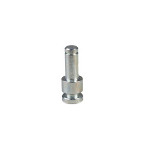 Bolzen Case 87725815