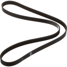 Riemen Case 90381203