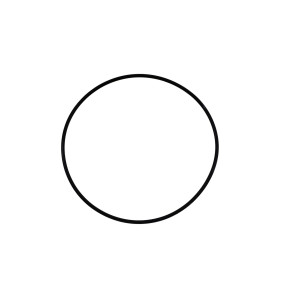 O-Ring Case
