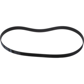 Riemen Case