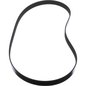 Riemen Case