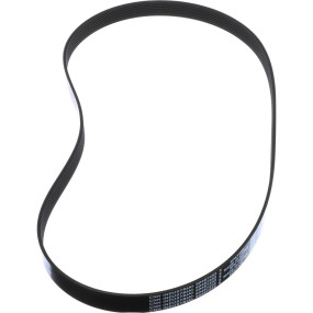 Riemen Case