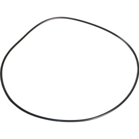 O-Ring Case 9815655