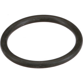 O-Ring Case 9841725