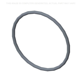 O-Ring Case 9843376