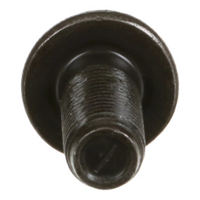 Schraube Case 98491312