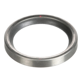 Dichtung, Flach Case 98494952
