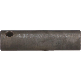 Bolzen Case