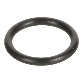 O-Ring (A24813) Case