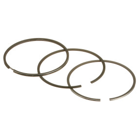 Ring (A44054) Case