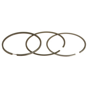 Ring (A44054) Case