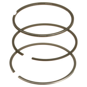 Ring (A44054) Case