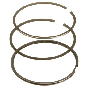 Ring (A44054) Case