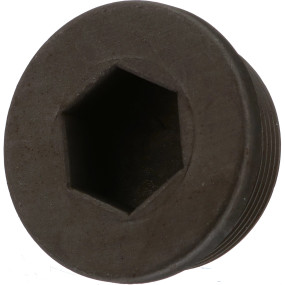 Stopfen Case A48791