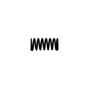 Feder Case A48934