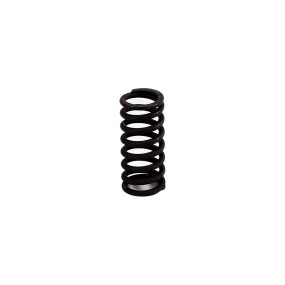 Feder (A48934) Case