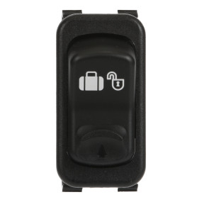 Schalter Case BN313883
