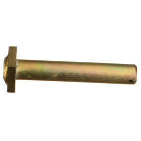Bolzen Case BN322485