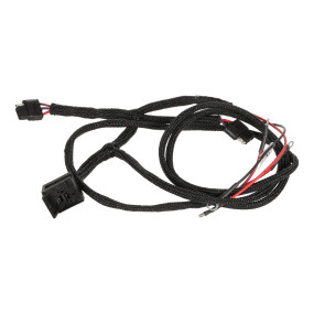 Kabelbaum Case H438140