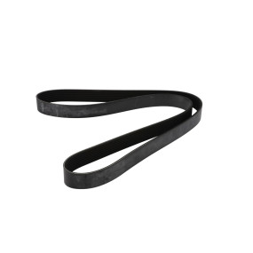 Riemen (J911565) Case