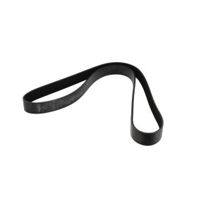 Riemen (J911565) Case