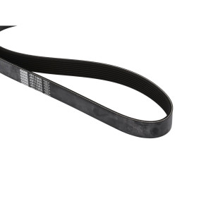 Riemen Case J911565