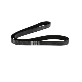 Riemen (J911565) Case