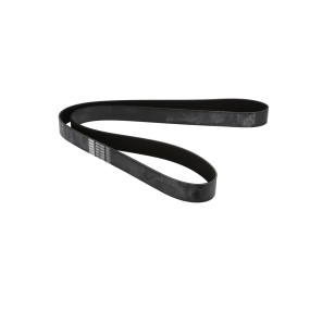 Riemen (J911565) Case