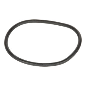 O-Ring (K262886) Case