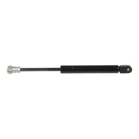Dämpfer (K303870) Case