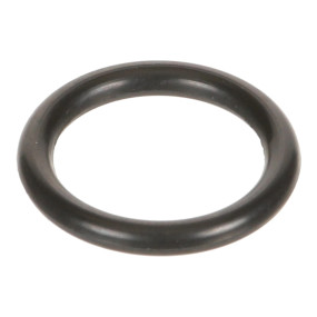 O-Ring (Mt40029202) Case