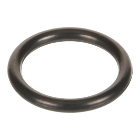 O-Ring (Mt40029204) Case