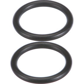 O-Ring (Mt40029205) Case