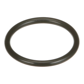 O-Ring (Mt40029209) Case