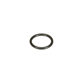 O-Ring (Mt40029211) Case