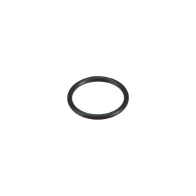 O-Ring (Mt40029212) Case