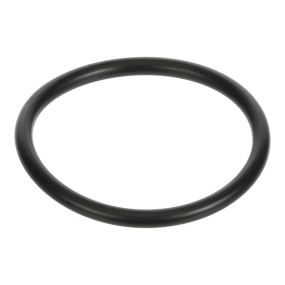 O-Ring (Mt40029215) Case
