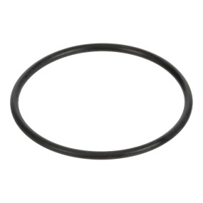 O-Ring (Mt40029225) Case