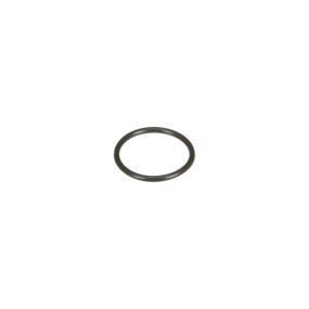 O-Ring (Mt40029241) Case