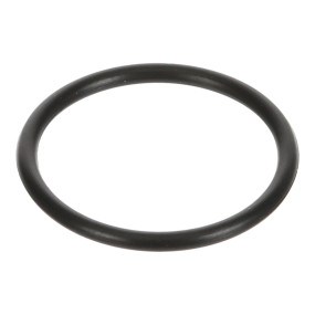 O-Ring (Mt40029244) Case