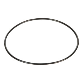 O-Ring (Mt40029256) Case