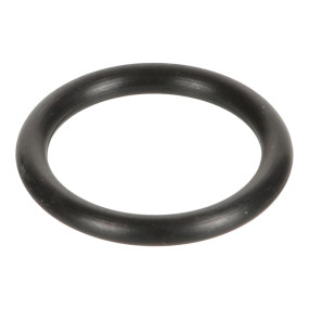 O-Ring (Mt40195048) Case