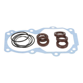 Dichtungssatz (Mt40286701) Case