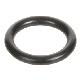 O-Ring (Mt40331404) Case