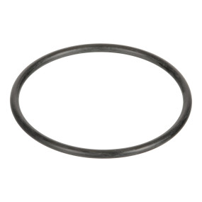 O-Ring (Pk130488) Case