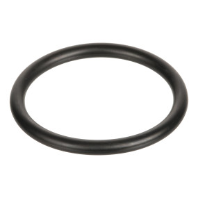 O-Ring (Sba052110550) Case
