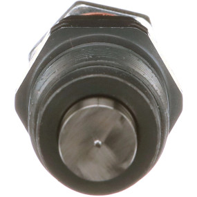 Kraftstoffeinspritzd Case SBA131406520