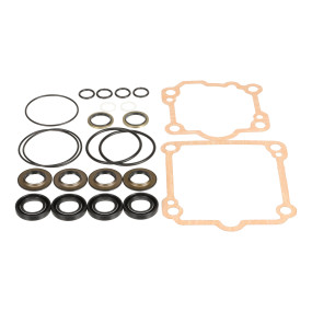 Dichtungssatz (Sba322840860) Case