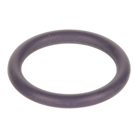 O-Ring (Sbat431846) Case